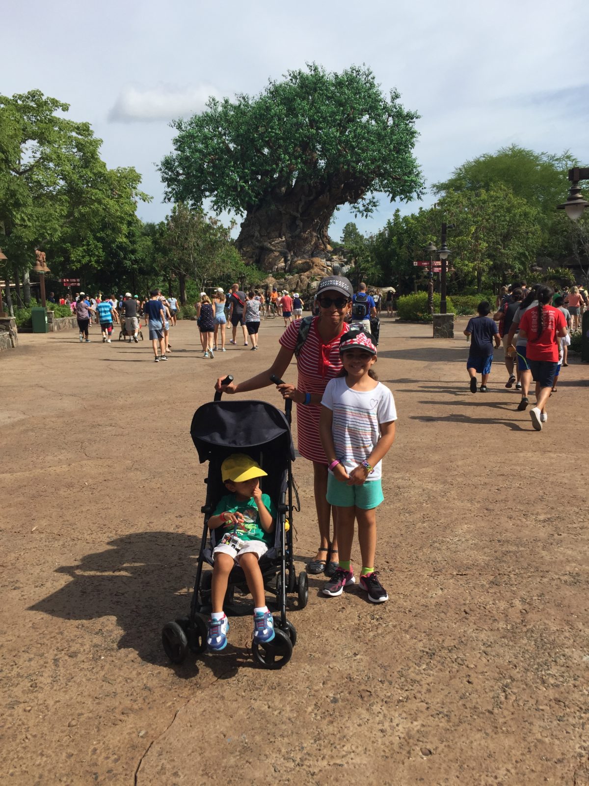 Oversized strollers will be banned from Disney Parks DisneywithIzzy